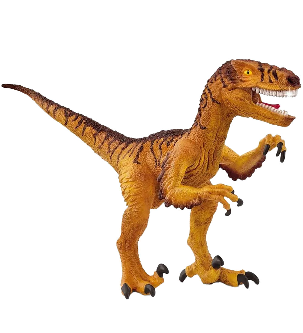 Schleich Dinosaurs - Velociraptor - 18 cm - 15045 - Schleich - One Size - Dinosaurier Schleich Dinosaurs - Velociraptor - 18 cm - 15045 - Schleich - One Size - Dinosaurier von Schleich