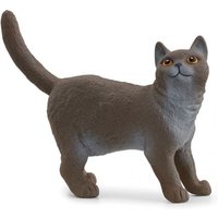 Britische Kurzhaar Katze Britische Kurzhaar Katze von Schleich GmbH