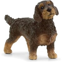 Rauhaardackel von Schleich GmbH