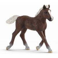 Schleich - Farm World - Schwarzwälder Fohlen von Schleich