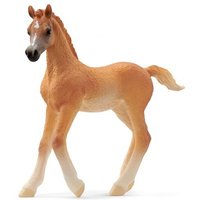 Schleich - Horse Club - Araber Fohlen von Schleich