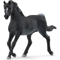 Araber Hengst von Schleich GmbH