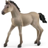 Schleich - Horse Club - Criollo Definitivo Fohlen Schleich - Horse Club - Criollo Definitivo Fohlen von Schleich