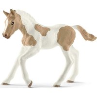 Schleich Horse Club Paint Horse Fohlen 7,3cm Schleich Horse Club Paint Horse Fohlen 7,3cm von Schleich