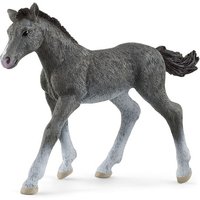Schleich - Horse Club - Trakehner Fohlen Schleich - Horse Club - Trakehner Fohlen von Schleich