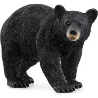 Schleich - Wild Life - Amerikanischer Schwarzbär Schleich - Wild Life - Amerikanischer Schwarzbär von Schleich