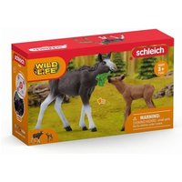 Elchkuh mit Kalb von Schleich GmbH