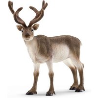 Schleich - Wild Life - Rentier von Schleich