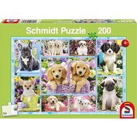 Welpen. Puzzle 200 Teile Welpen. Puzzle 200 Teile von Schmidt Spiele