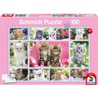 SCHMIDT SPIELE 56135 Katzenbabys, 100 Teile von Schmidt Spiele