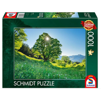 SCHMIDT SPIELE 59761 Erwachsenenpuzzle 1000 Teile Berg-Ahorn im Sonnenlicht, St. Gallen, Schweiz von Schmidt Spiele
