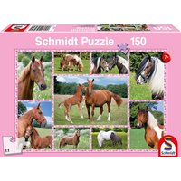 Puzzle Schmidt Spiele 56269 Pferdeträume Kinder 150 Teile von Schmidt Spiele