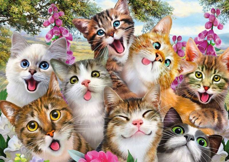 Schmidt Puzzle 500 Teile - Katzen-Selfie - von Schmidt Spiele