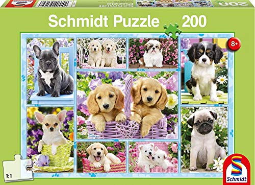 Schmidt Spiele 56162 Welpen, 200 Teile Kinderpuzzle von Schmidt Spiele