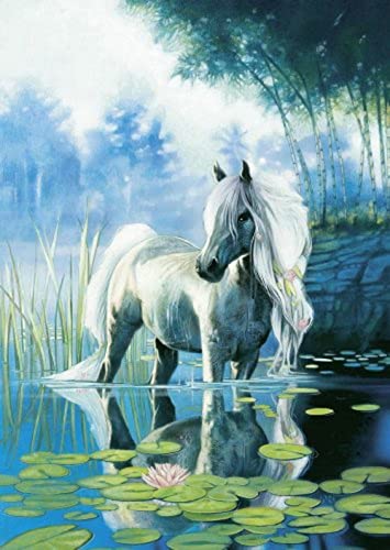 Schmidt Spiele 58121 - Im Seerosenteich, 1000 Teile Puzzle von Schmidt