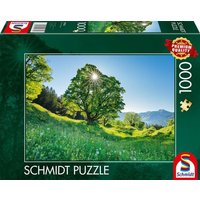 Schmidt Spiele - Berg-Ahorn im Sonnenlicht - St. Gallen, Schweiz, 1.000 Teile von Schmidt Spiele