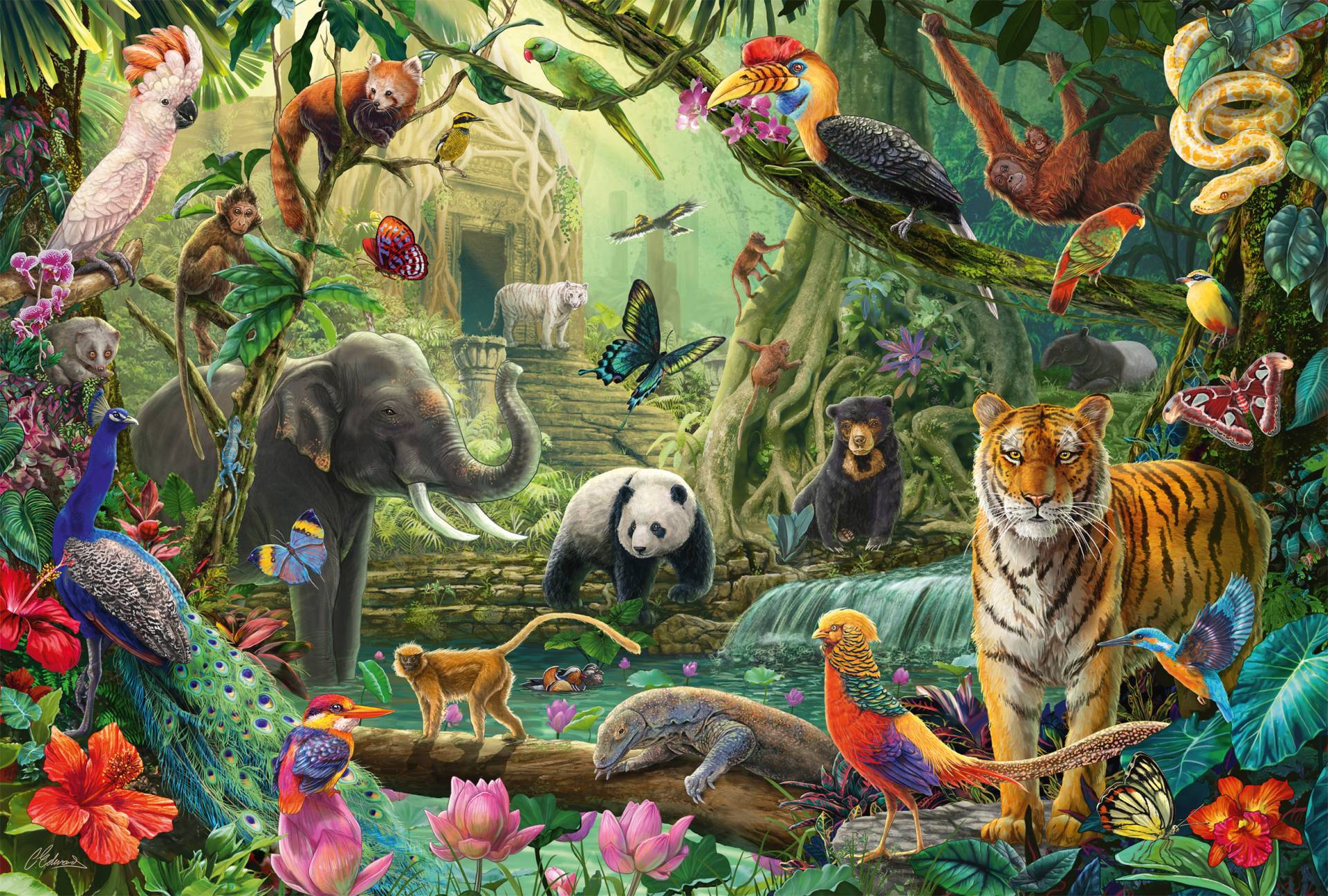 Schmidt Spiele Bunte Tierwelt im Dschungel 100 Teile Puzzle Schmidt-Spiele-56485 von Schmidt Spiele