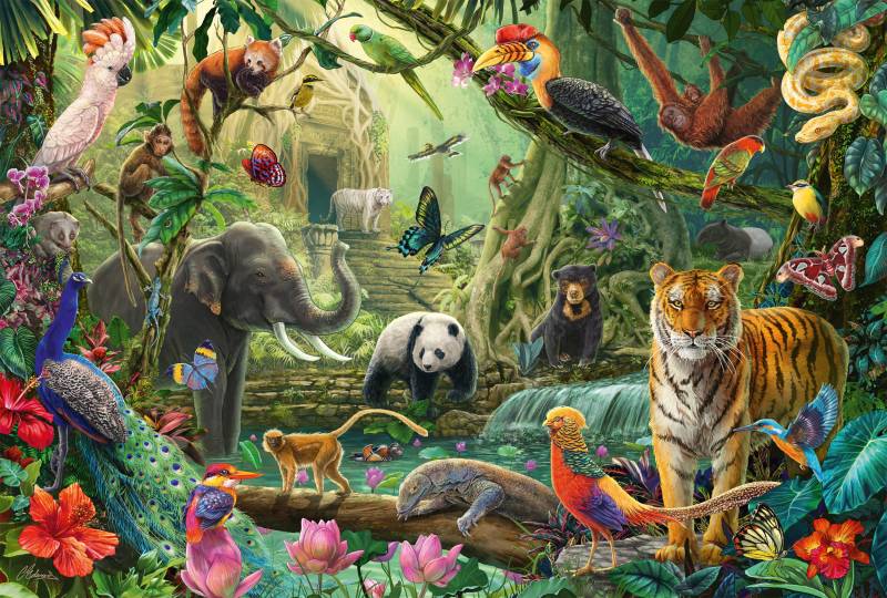 Schmidt Spiele Bunte Tierwelt im Dschungel 100 Teile Puzzle Schmidt-Spiele-56485 Schmidt Spiele Bunte Tierwelt im Dschungel 100 Teile Puzzle Schmidt-Spiele-56485 von Schmidt Spiele