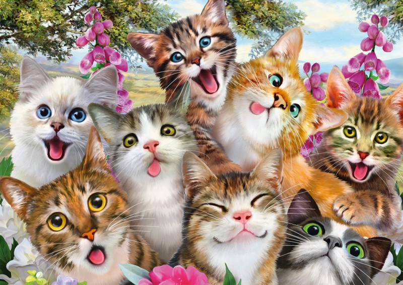 Schmidt Spiele Cats' Selfy 500 Teile Puzzle Schmidt-Spiele-58391 von Schmidt Spiele