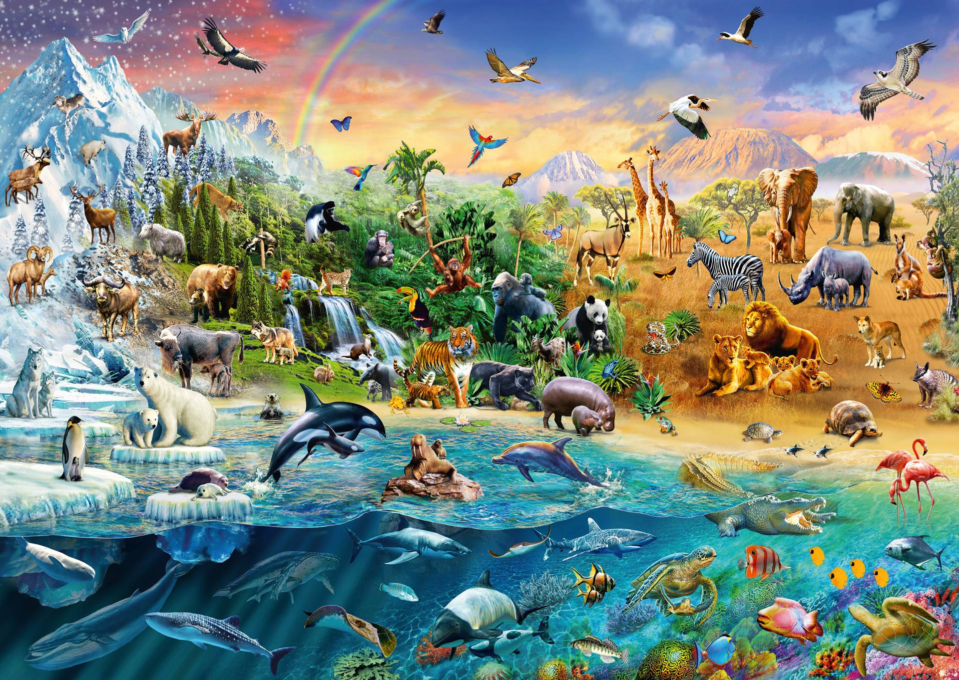 Schmidt Spiele Die Welt der Tiere 1000 Teile Puzzle Schmidt-Spiele-58324 von Schmidt Spiele