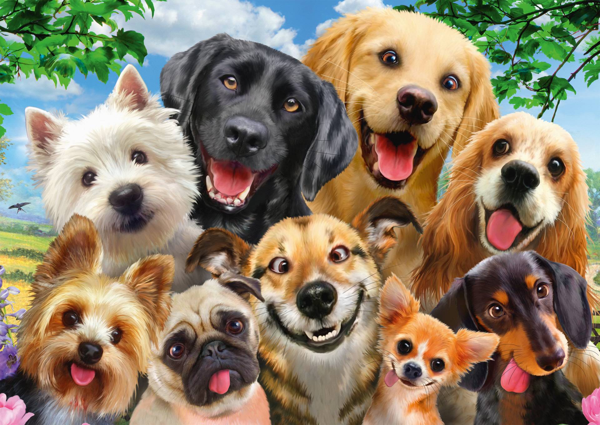 Schmidt Spiele Dogs' Selfy 500 Teile Puzzle Schmidt-Spiele-58390 Schmidt Spiele Dogs' Selfy 500 Teile Puzzle Schmidt-Spiele-58390 von Schmidt Spiele