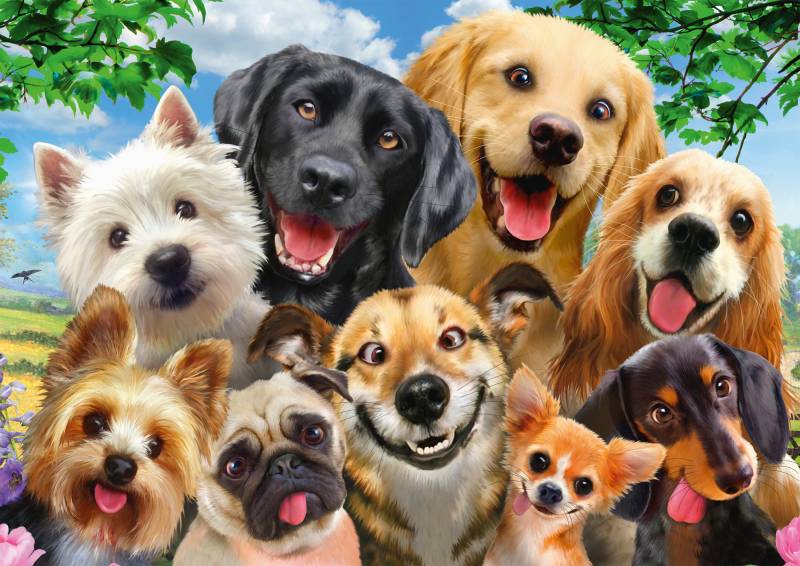 Schmidt Spiele Dogs' Selfy 500 Teile Puzzle Schmidt-Spiele-58390 von Schmidt Spiele