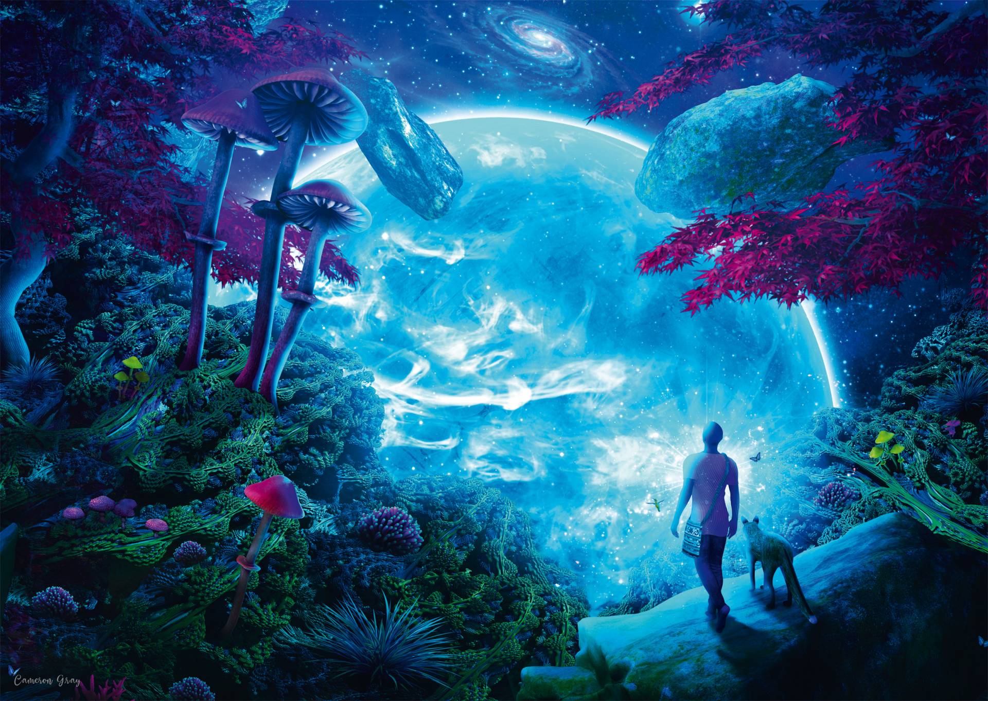 Schmidt Spiele Himmelsfantasie 1000 Teile Puzzle Schmidt-Spiele-58525 Schmidt Spiele Himmelsfantasie 1000 Teile Puzzle Schmidt-Spiele-58525 von Schmidt Spiele