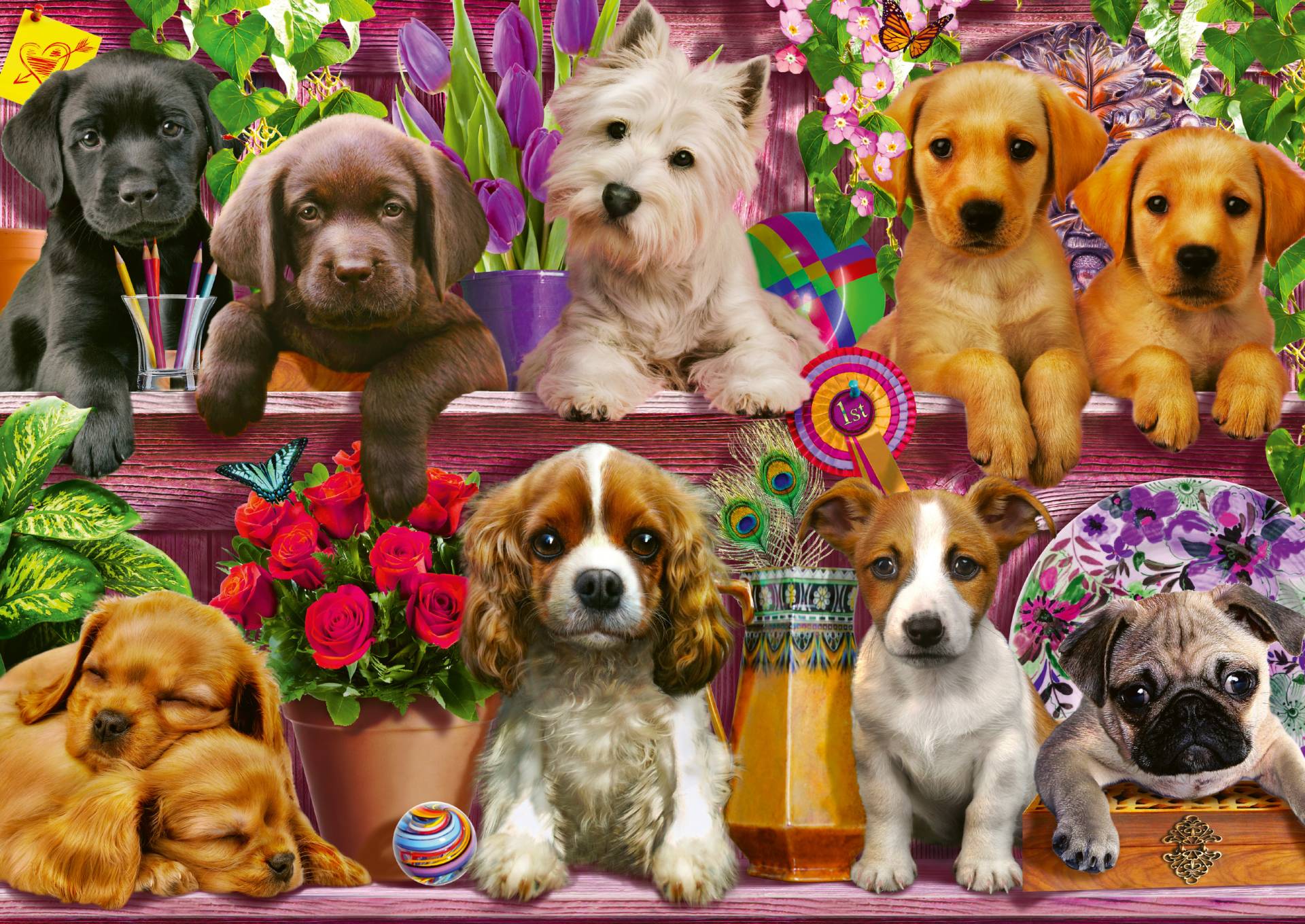 Schmidt Spiele Hunde im Regal 500 Teile Puzzle Schmidt-Spiele-58973 Schmidt Spiele Hunde im Regal 500 Teile Puzzle Schmidt-Spiele-58973 von Schmidt Spiele