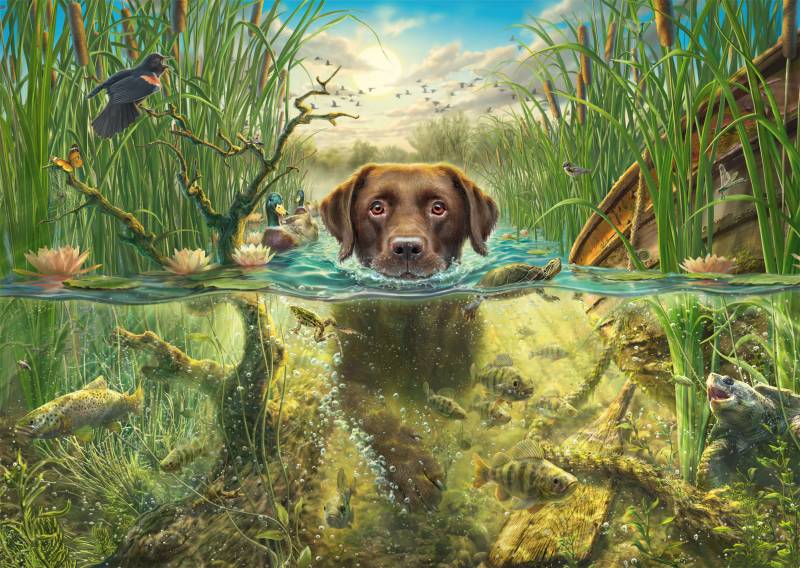 Schmidt Spiele Hundeliebe, Brauner Labrador im Kühlen Nass 1000 Teile Puzzle Schmidt-Spiele-58572 von Schmidt Spiele