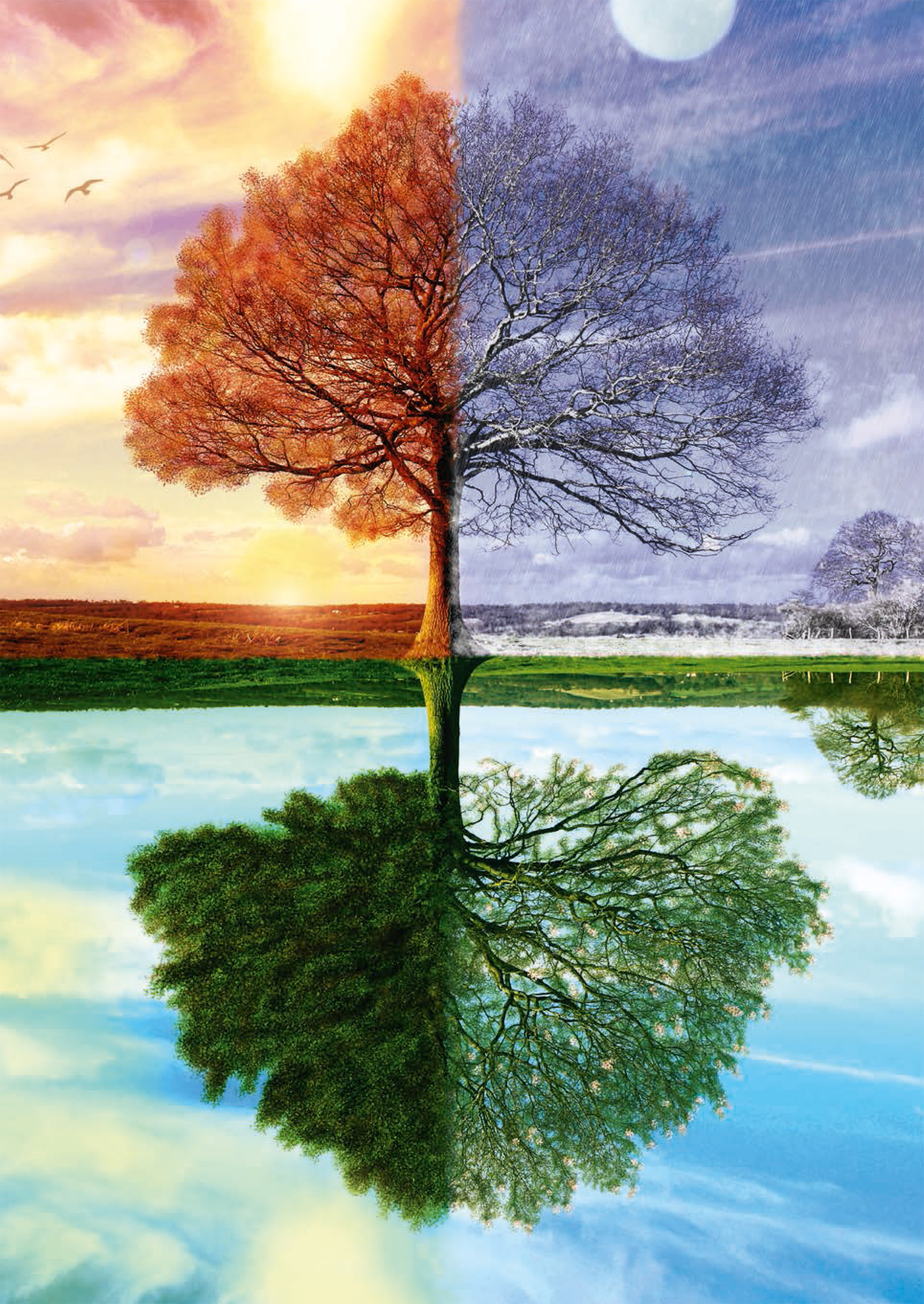 Schmidt Spiele Jahreszeiten Baum 500 Teile Puzzle Schmidt-Spiele-58223 Schmidt Spiele Jahreszeiten Baum 500 Teile Puzzle Schmidt-Spiele-58223 von Schmidt Spiele
