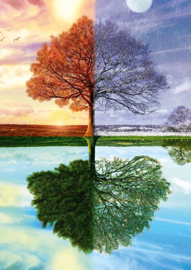 Schmidt Spiele Jahreszeiten Baum 500 Teile Puzzle Schmidt-Spiele-58223 Schmidt Spiele Jahreszeiten Baum 500 Teile Puzzle Schmidt-Spiele-58223 von Schmidt Spiele