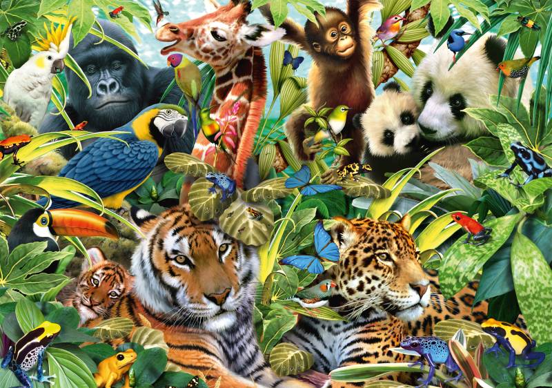 Schmidt Spiele Kunterbunte Tierwelt 1500 Teile Puzzle Schmidt-Spiele-57385 von Schmidt Spiele
