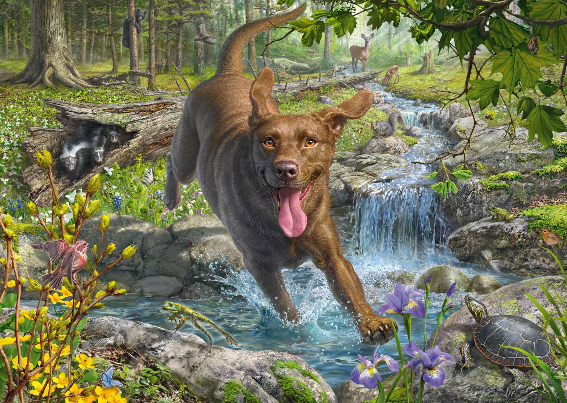 Schmidt Spiele Mark Fredrickson - Retriever im Frühling 1000 Teile Puzzle Schmidt-Spiele-58559 Schmidt Spiele Mark Fredrickson - Retriever im Frühling 1000 Teile Puzzle Schmidt-Spiele-58559 von Schmidt Spiele