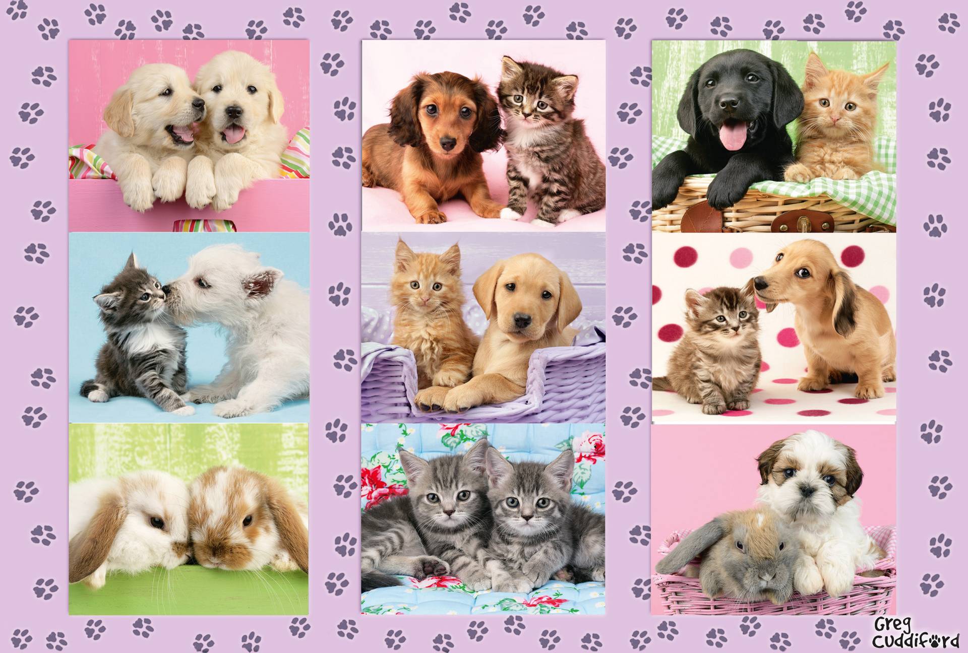 Schmidt Spiele Meine Tierfreunde 100 Teile Puzzle Schmidt-Spiele-56268 Schmidt Spiele Meine Tierfreunde 100 Teile Puzzle Schmidt-Spiele-56268 von Schmidt Spiele