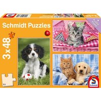 Schmidt Spiele - Meine liebsten Haustierbabys, 3 x 48 Teile Schmidt Spiele - Meine liebsten Haustierbabys, 3 x 48 Teile von Schmidt Spiele