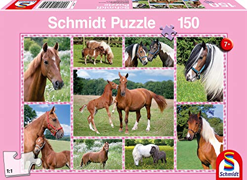 Schmidt Spiele SCH56269 Schöne Pferde Horse Pferdeträume, Kinderpuzzle, 150 Teile, rosa, M von Schmidt Spiele