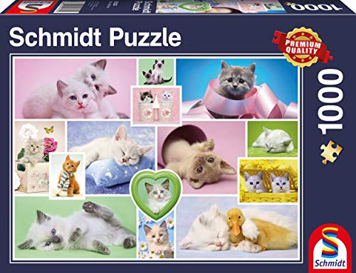 Schmidt Spiele Puzzle 58230 Puzzle 1.000 Teile, Schmusekatzen Schmidt Spiele Puzzle 58230 Puzzle 1.000 Teile, Schmusekatzen von Schmidt