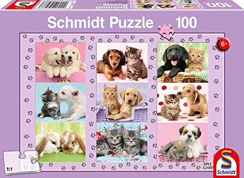 Schmidt Spiele SCH56268 Meine Tierfreunde, Kinderpuzzle, 100 Teile, Bunt von Schmidt Spiele