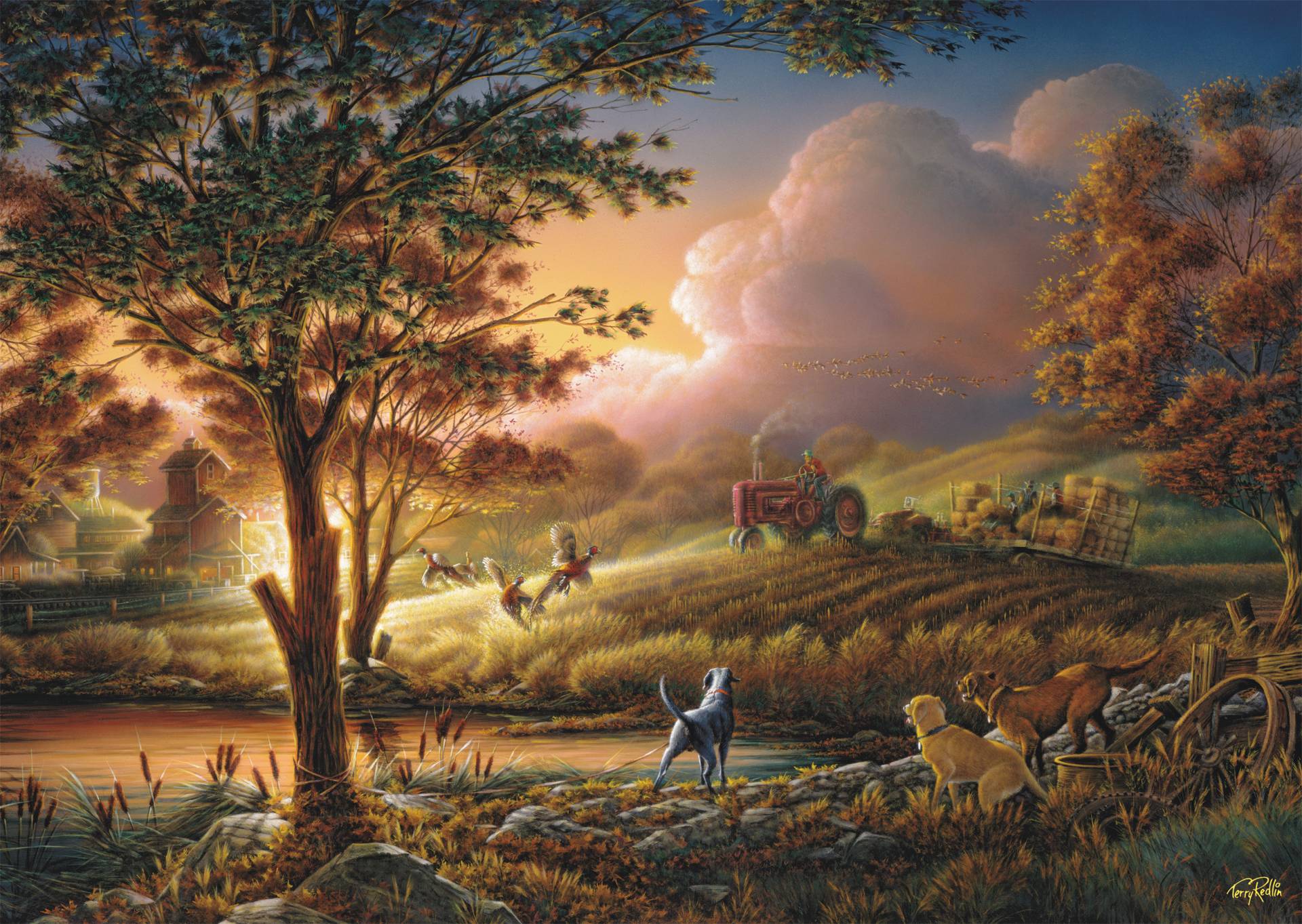 Schmidt Spiele Sonnengold über Reifen Feldern 1000 Teile Puzzle Schmidt-Spiele-58544 Schmidt Spiele Sonnengold über Reifen Feldern 1000 Teile Puzzle Schmidt-Spiele-58544 von Schmidt Spiele