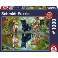 Schmidt Spiele - Standard - Dream Big!, 1000 Teile Schmidt Spiele - Standard - Dream Big!, 1000 Teile von Schmidt Spiele
