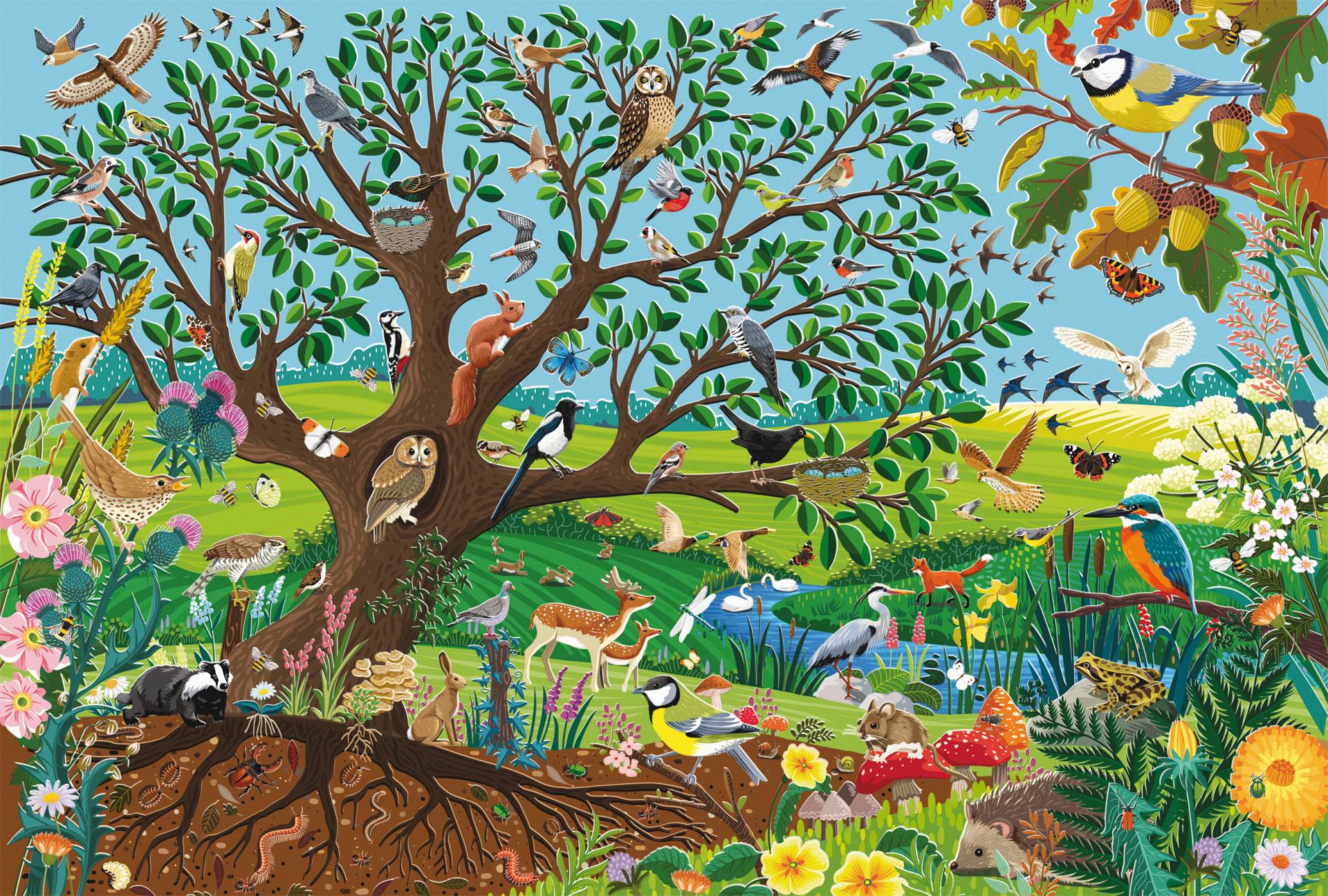 Schmidt Spiele Tiere im Garten 60 Teile Puzzle Schmidt-Spiele-56573 von Schmidt Spiele