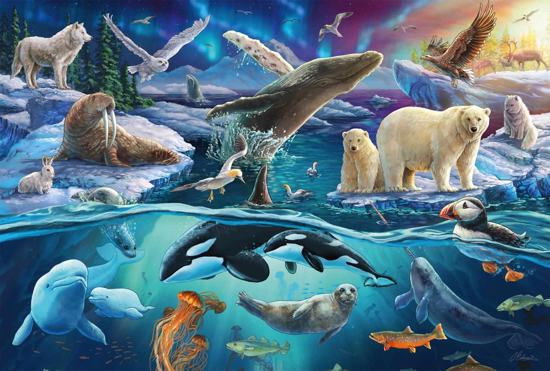 Schmidt Spiele Tiere in der Arktis 150 Teile Puzzle Schmidt-Spiele-56484 Schmidt Spiele Tiere in der Arktis 150 Teile Puzzle Schmidt-Spiele-56484 von Schmidt Spiele