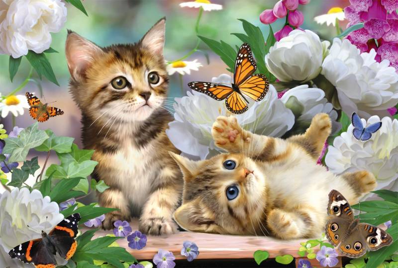 Schmidt Spiele Verspielte Katzenbabies 150 Teile Puzzle Schmidt-Spiele-56468 von Schmidt Spiele