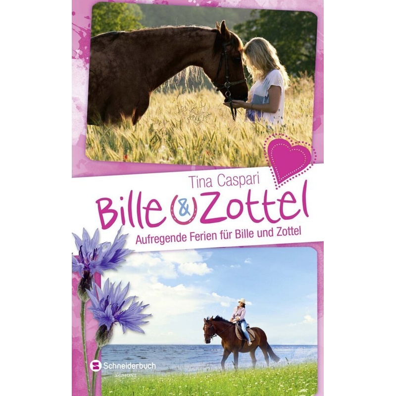 Bille und Zottel - Aufregende Ferien für Bille und Zottel von Schneiderbuch