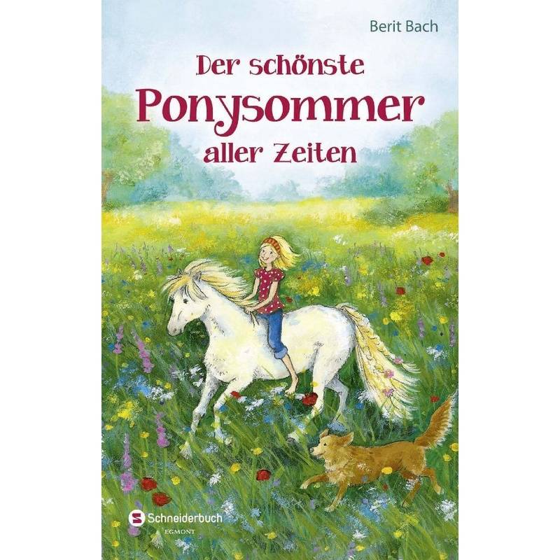 Der schönste Ponysommer aller Zeiten von Schneiderbuch
