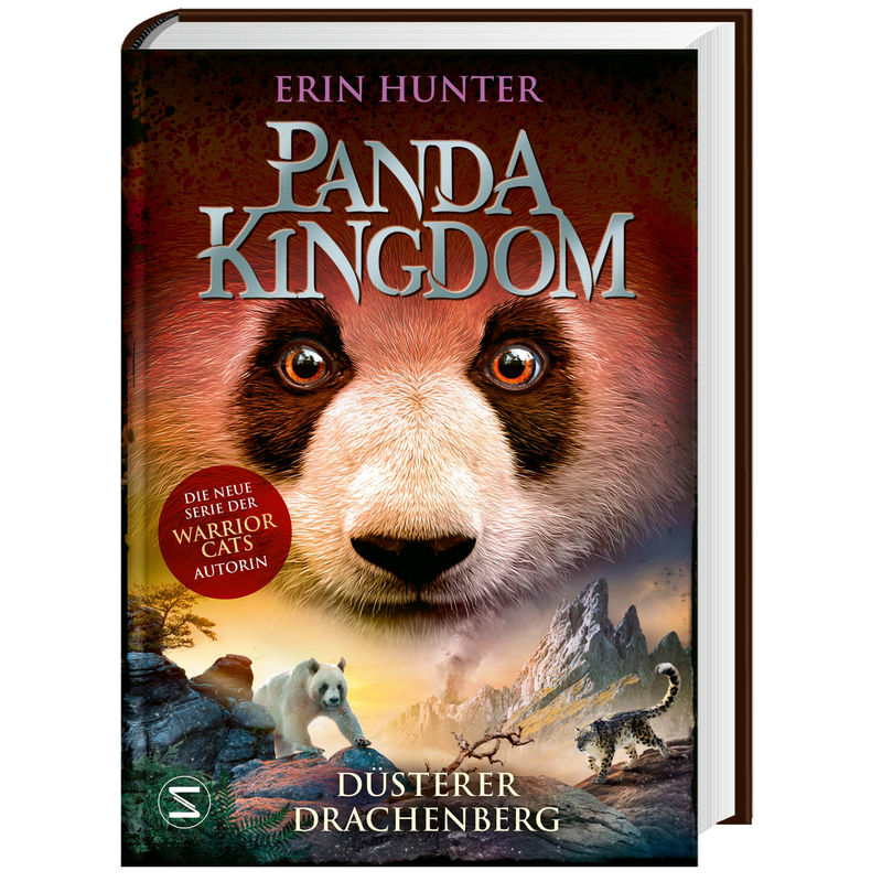 Düsterer Drachenberg / Panda Kingdom Bd.3 von Schneiderbuch