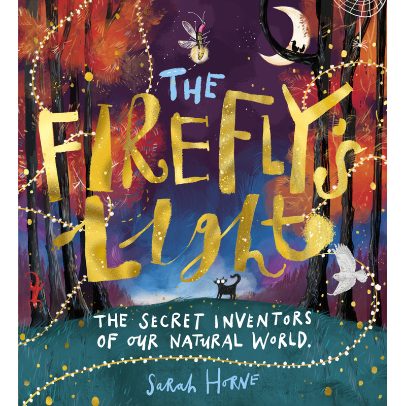The Firefly's Light von Scholastic UK
