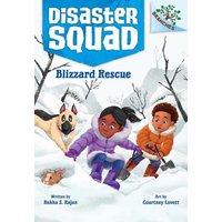 Blizzard Rescue: A Branches Book (Disaster Squad #3) von Scholastic
