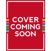 Wings of Fire Folded Flyers von Scholastic