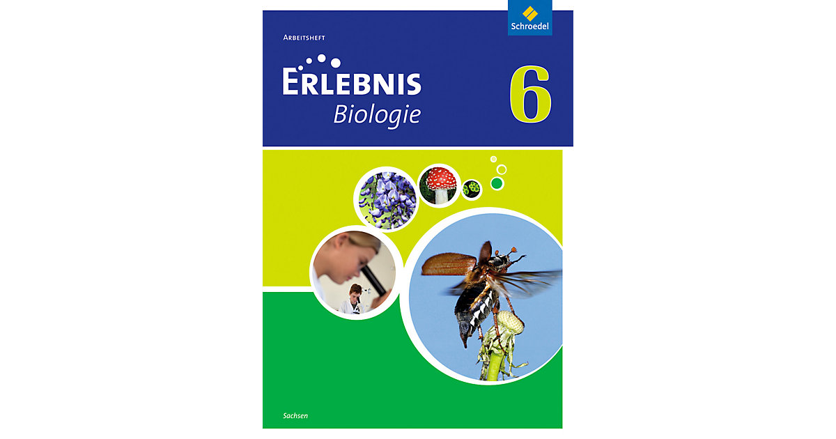 Buch - Erlebnis Biologie - Ausgabe 2012 Sachsen  Kinder von Schroedel Verlag